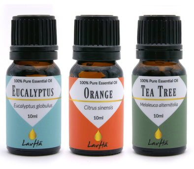 Essential Oil 3-pack - Eucalyptus, Orange and Tea Tree - LavHā